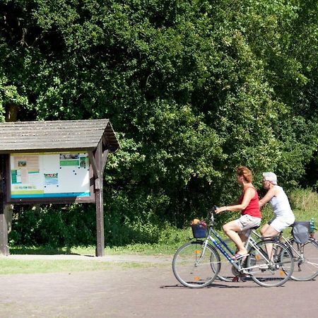 Appartementen - Bungalowpark Mooyeveld - Uniek Gelegen In De Duinen! Egmond-Binnen Exteriér fotografie