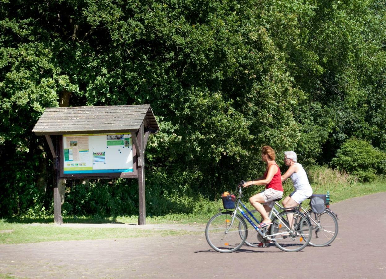 Appartementen - Bungalowpark Mooyeveld - Uniek Gelegen In De Duinen! Egmond-Binnen Exteriér fotografie